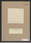 Cyclostella sp. (de-Toni-Nr.: Genus 216) Zeichnungen Sammlung Grunow Nr. 9363 (NHMW-BOT-W0379191)
